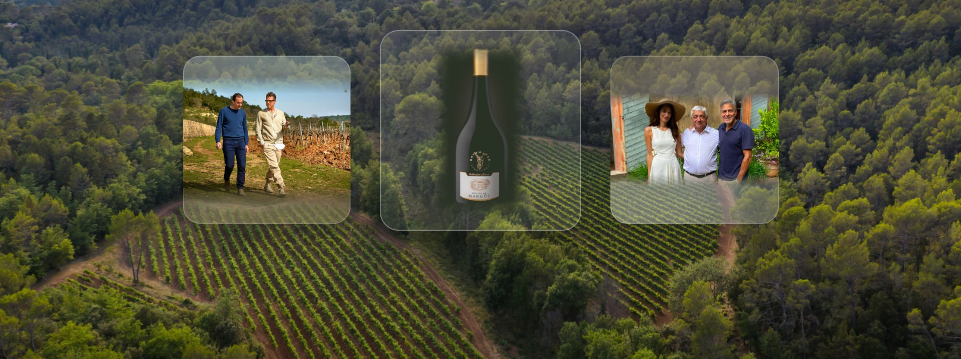 Aerial view of organic vineyard rows on a wooded Var hillside, with inset photos of Skywalker Vineyards' Château Margüi