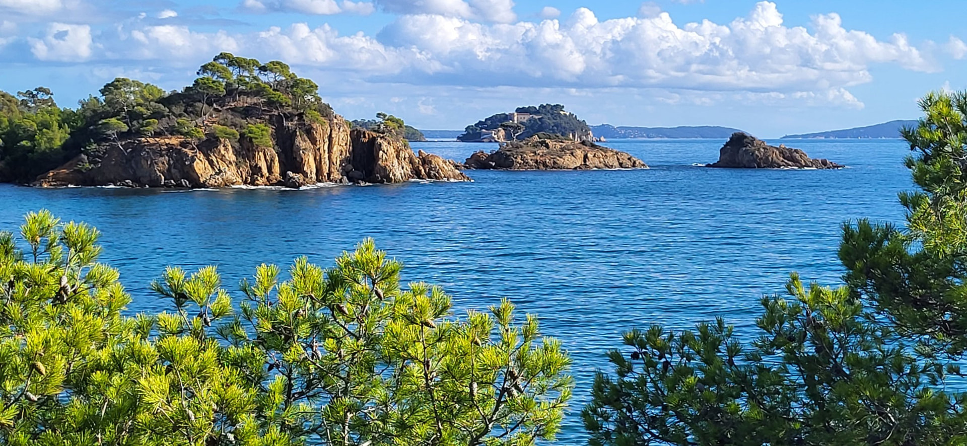 Rocky islets off the Var coast framed by pine branches, near Hyères in Provence